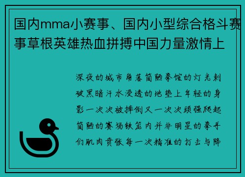 国内mma小赛事、国内小型综合格斗赛事草根英雄热血拼搏中国力量激情上演